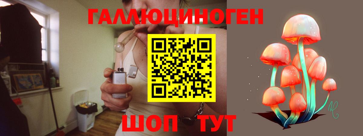Павловский Посад  Псилоцибиновые грибы MAGIC MUSHROOMS  Вход с VPN  Псилоцибиновые грибы Psilocybe 